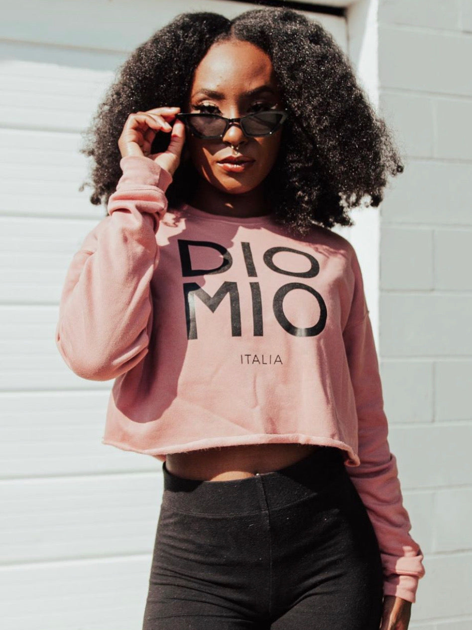 DIO MIO CROP SWEATER