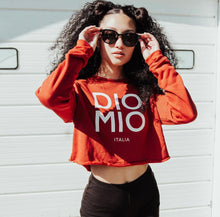 Load image into Gallery viewer, DIO MIO CROP SWEATER
